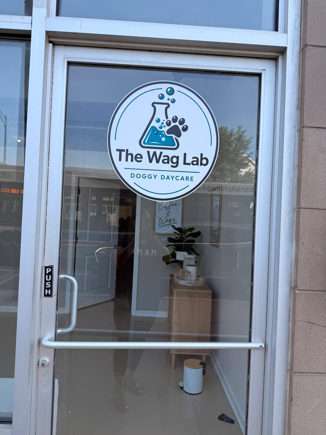 The Wag Lab is Now Open in Bucktown! 🐾