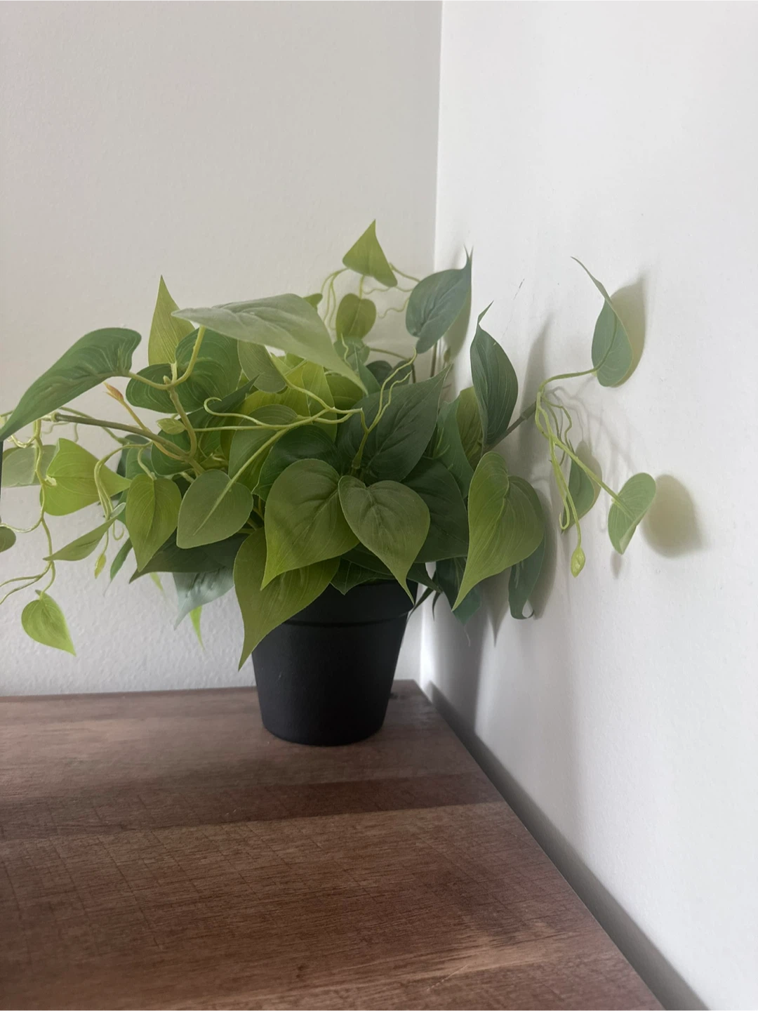 Artificial Plant
