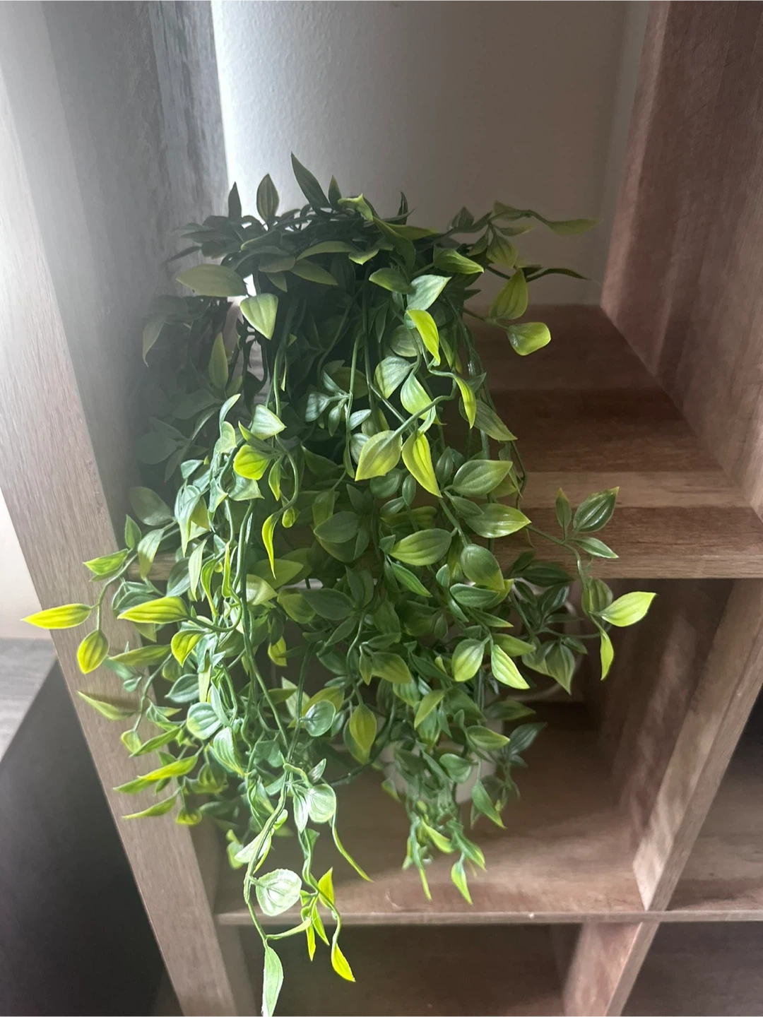 Artificial Plant - photo 2