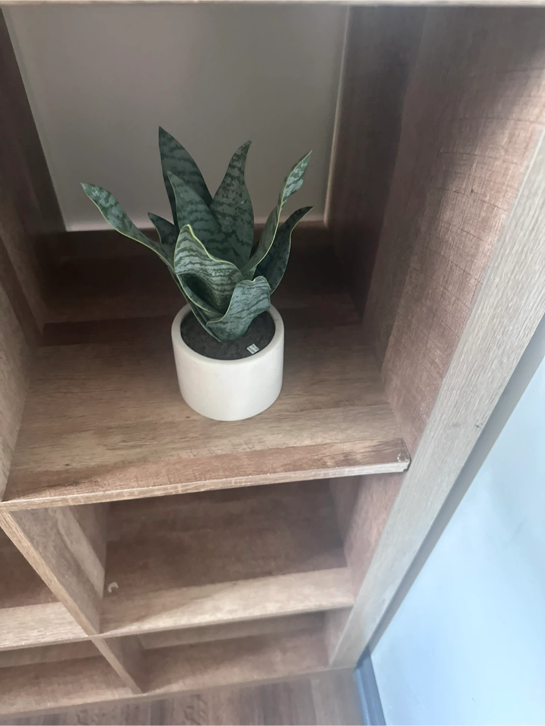 Artificial Plant - photo 3