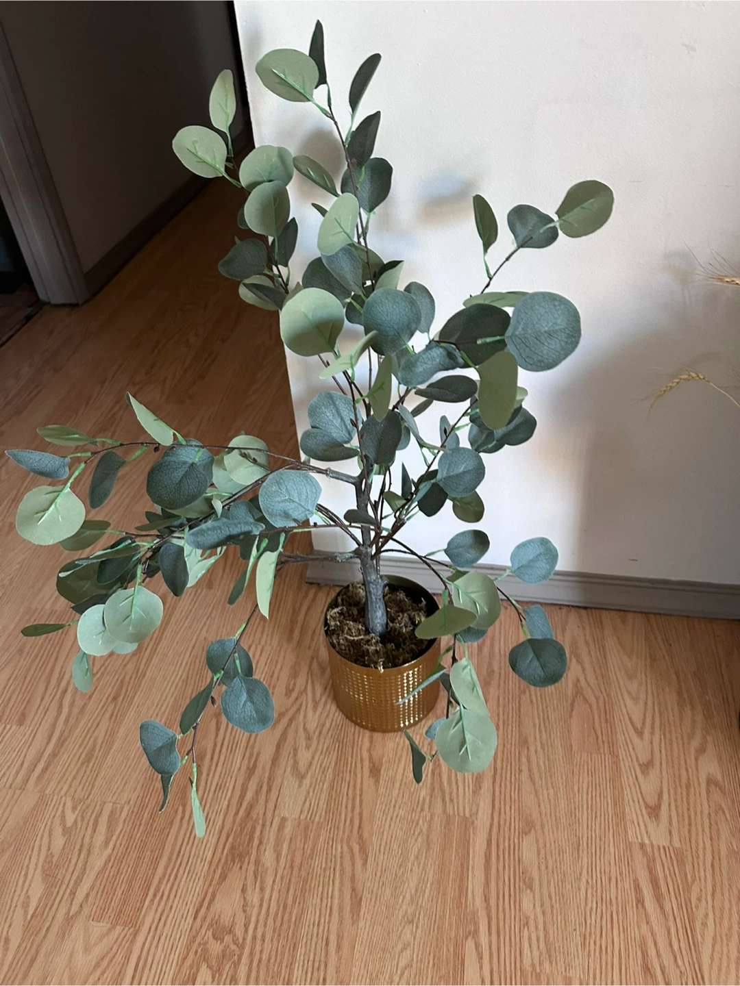 Artificial Plant - photo 4