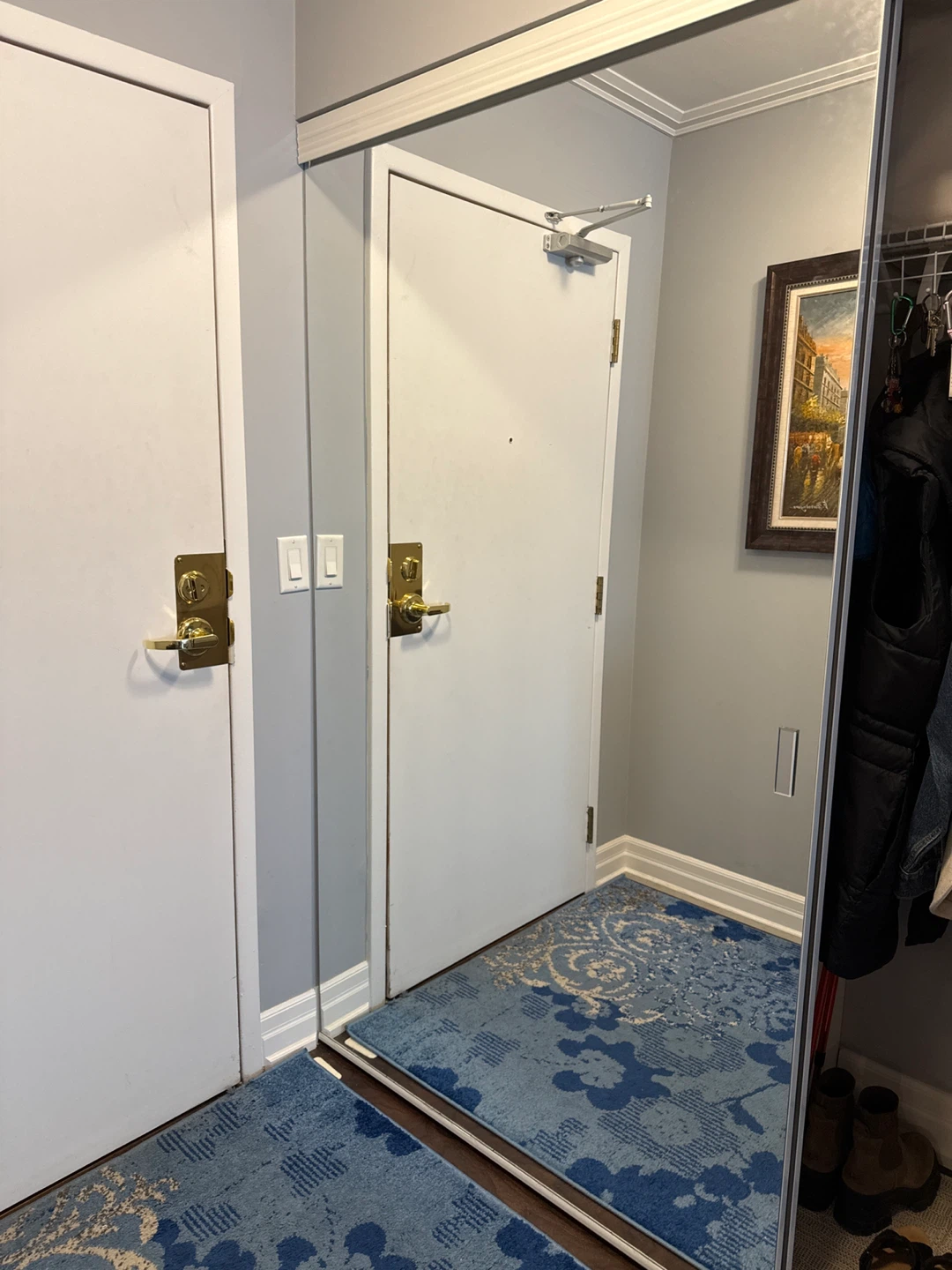 Mirrored sliding doors