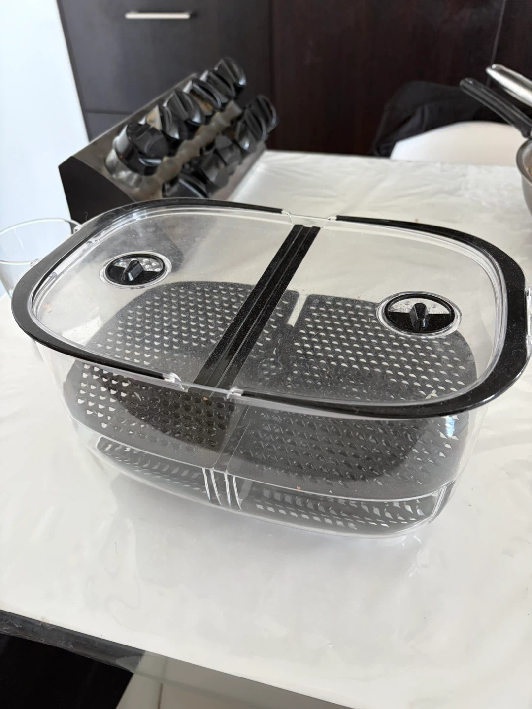 FOX HOME Food Container