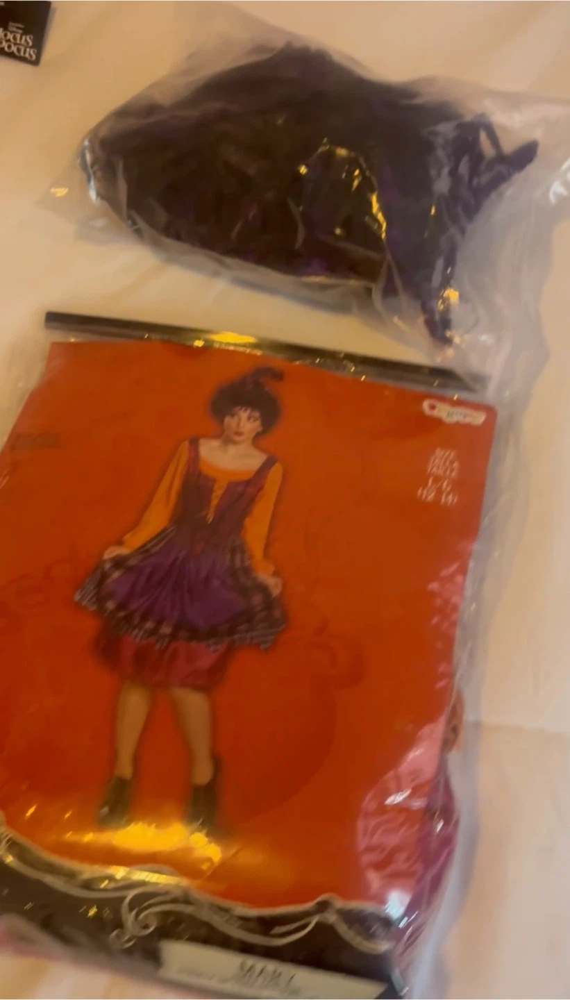 Hocus Pocus Family Costume Bundle  - Winifred, Mary, Billy - photo 3
