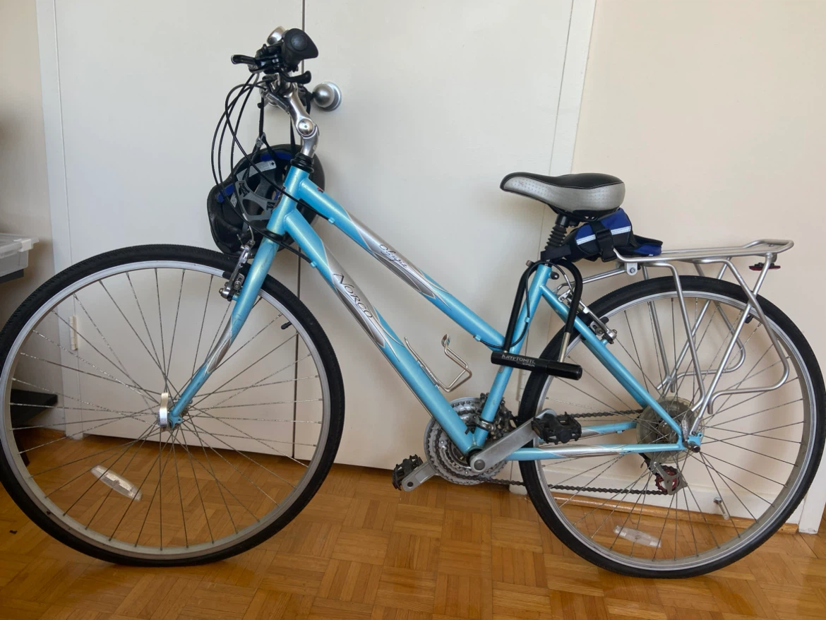 Ladies Bicycle, 17”