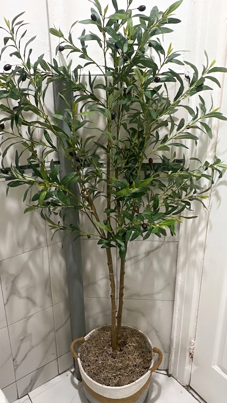 Artificial Olive Tree with Black Olives + macetero y musgo i