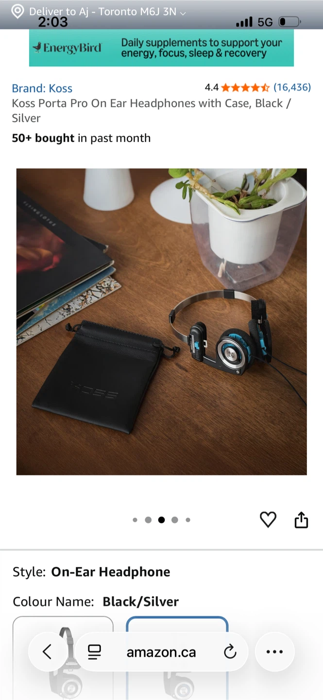 Koss Porta Pro On-Ear Headphones with Case, Black/Silver - photo 2