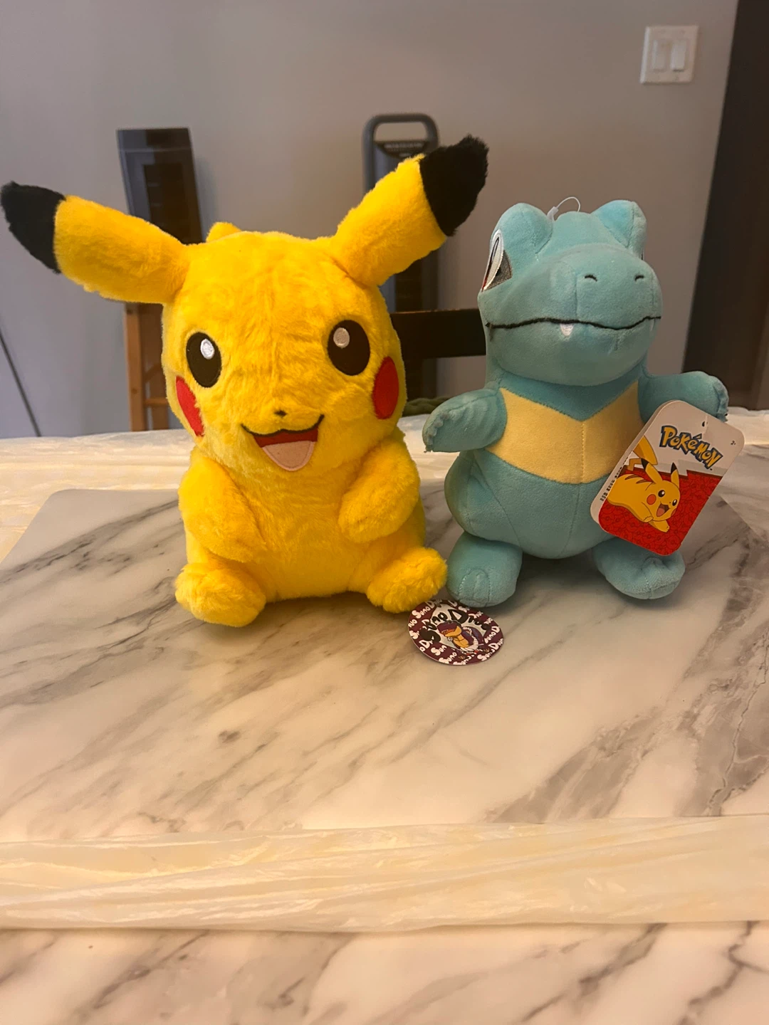 Pokémon Pikachu & Totodile Plush Toys
