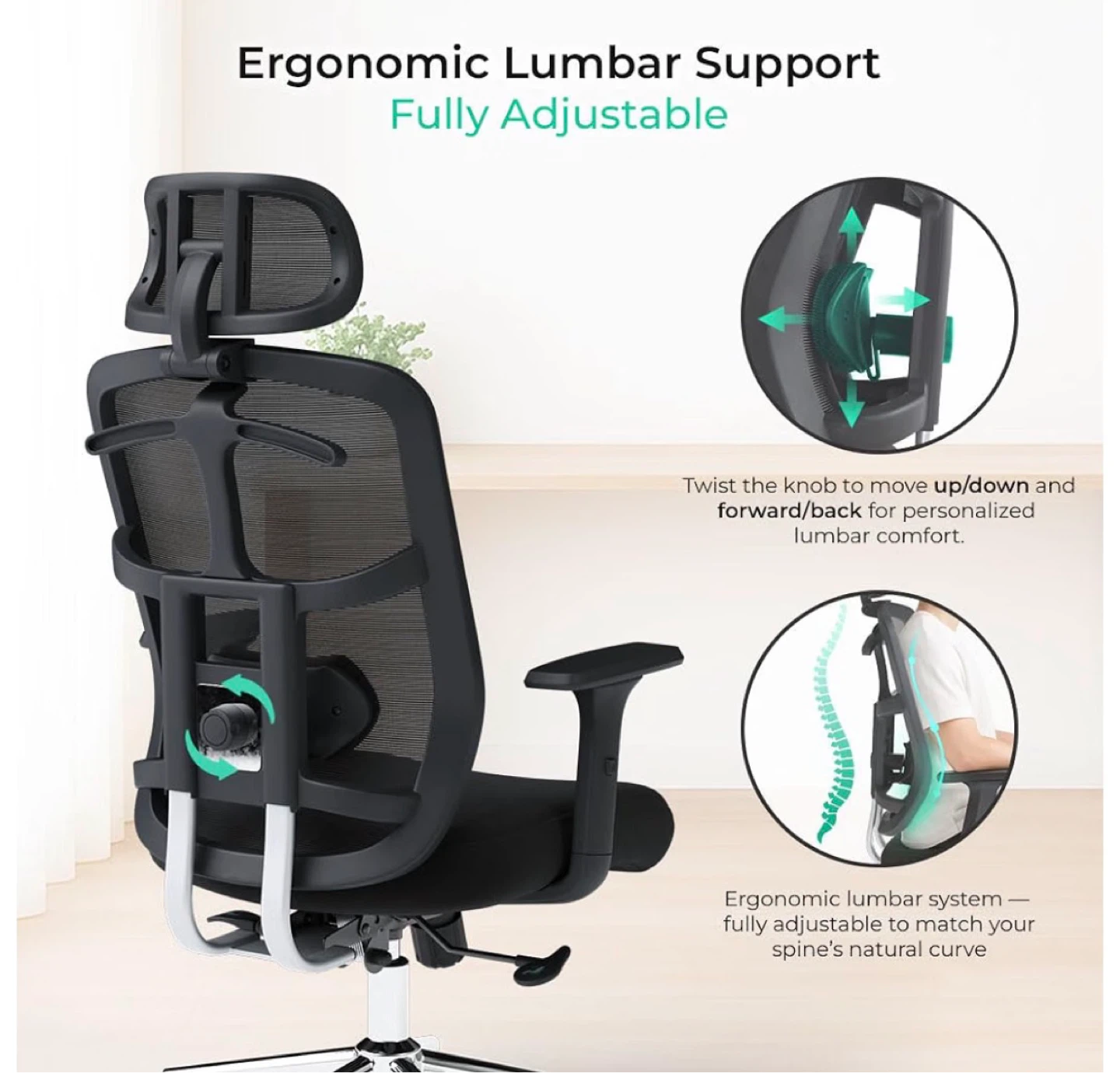 Ergonomic Office Chair with Lumbar Support