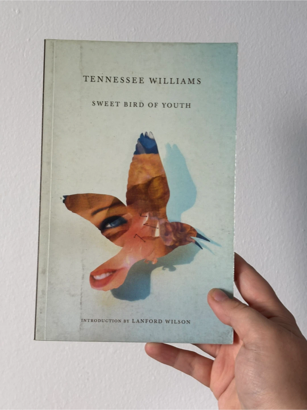 poetry books and plays - photo 4