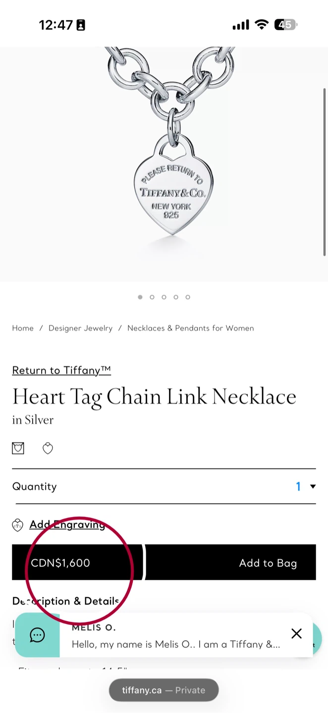 Tiffany & Co. Return to Tiffany Heart Tag Chain Necklace - photo 3