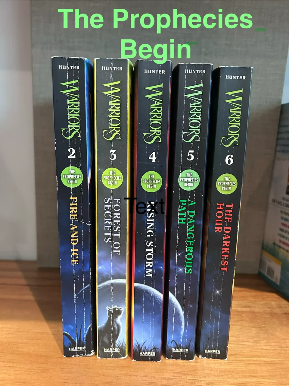 Warriors Books Collection by Erin Hunter - photo 2