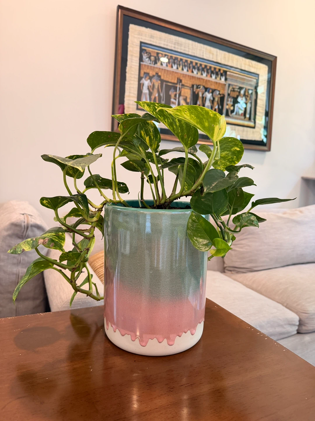 Pothos Plant in Ceramic Pot