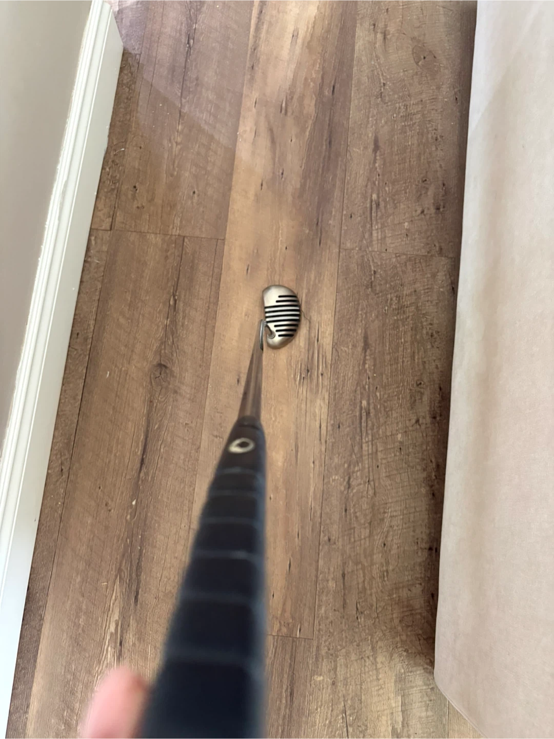 Zebra Roll-Face TDZ2 Putter