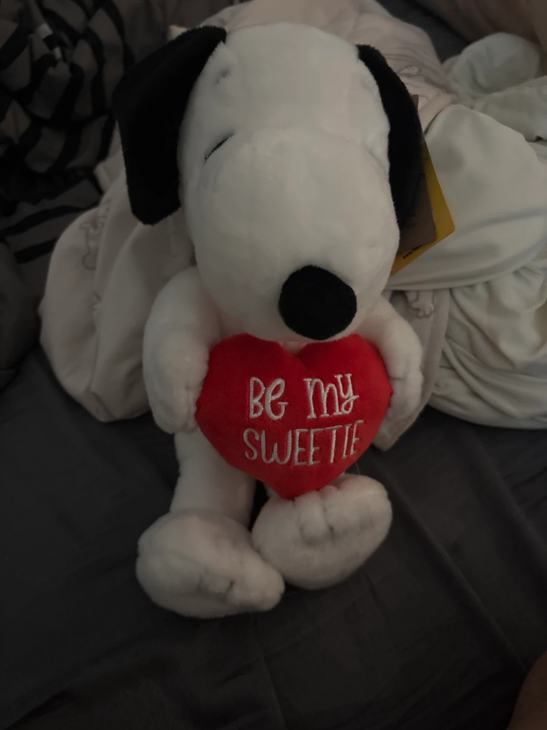 Peanuts Snoopy Plush with "Be My Sweetie" Heart