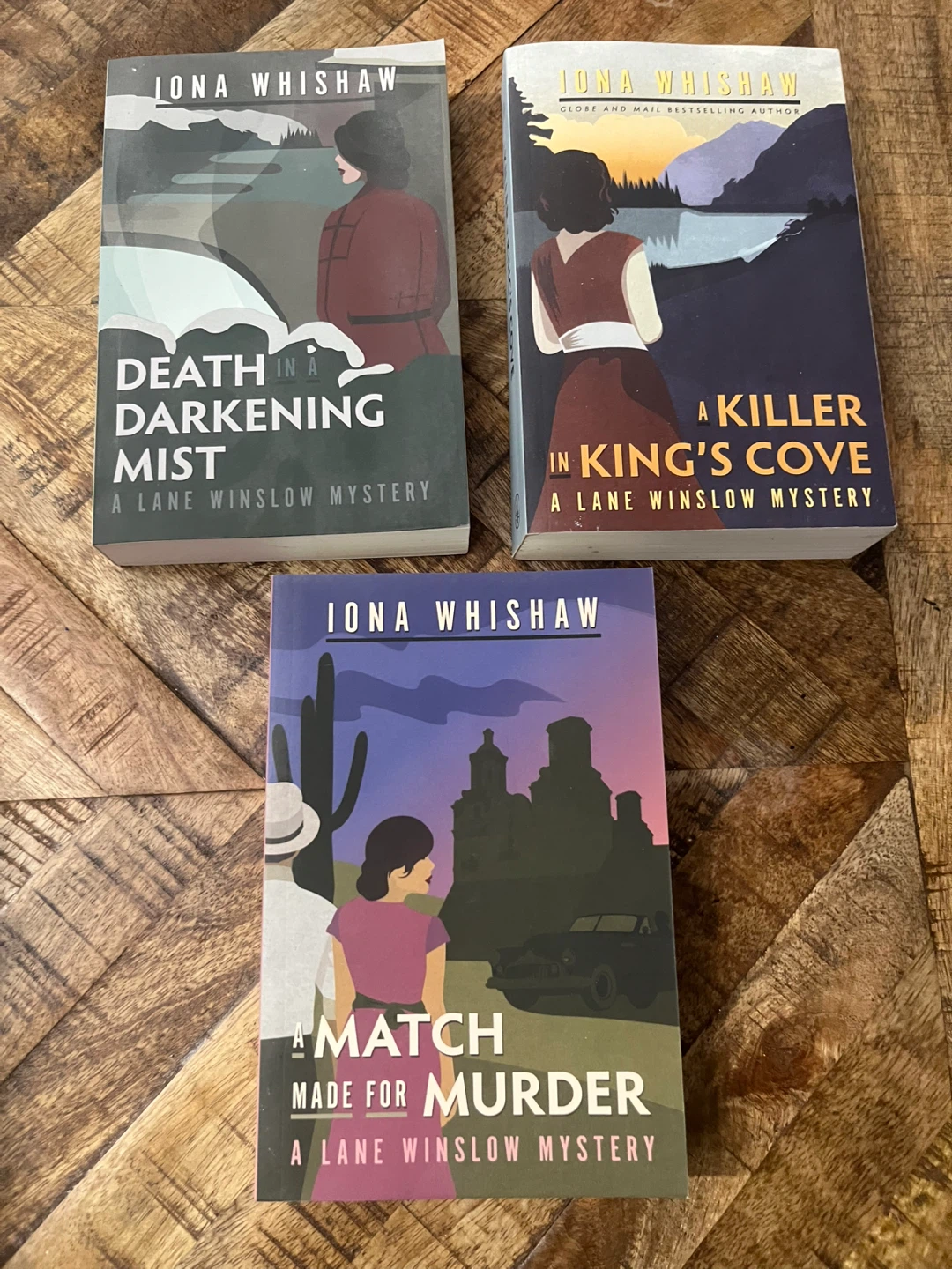 Iona Whishaw Mysteries or John David Anderson books - photo 2