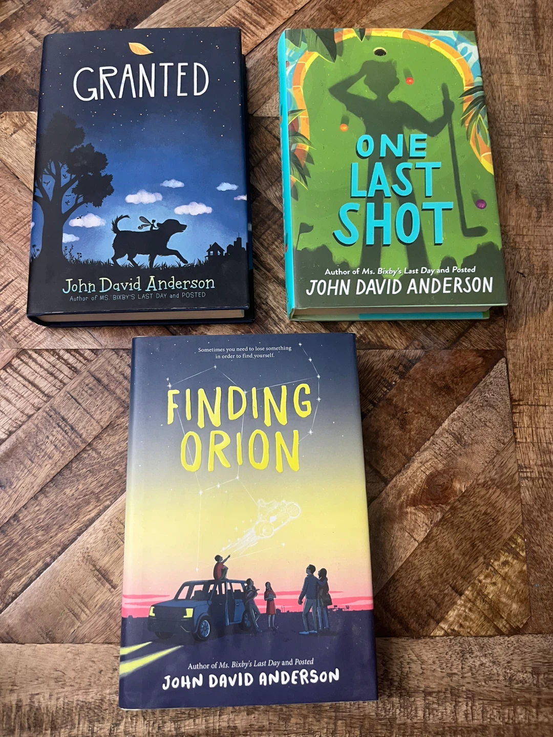 Iona Whishaw Mysteries or John David Anderson books - photo 4