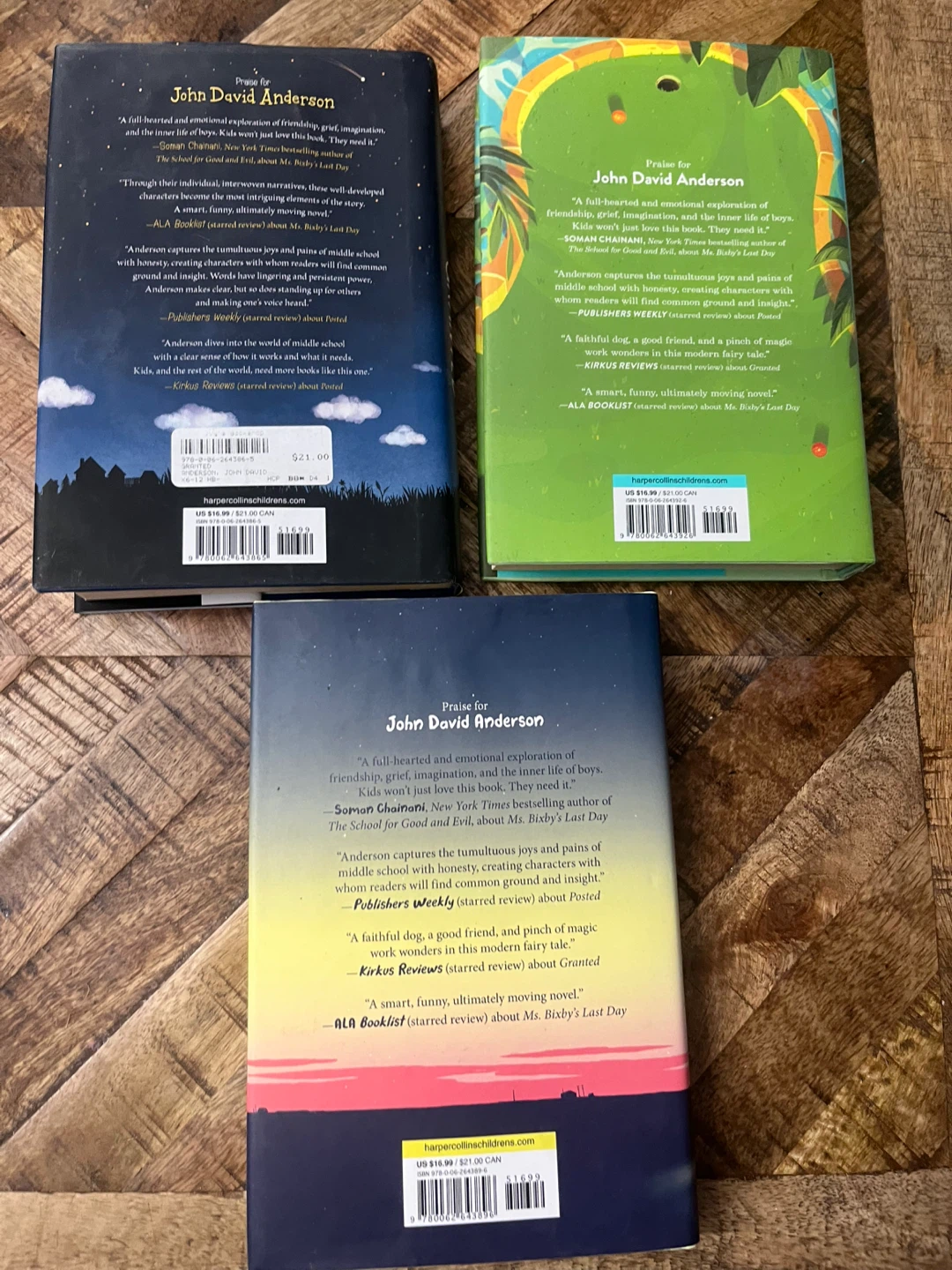 Iona Whishaw Mysteries or John David Anderson books - photo 5