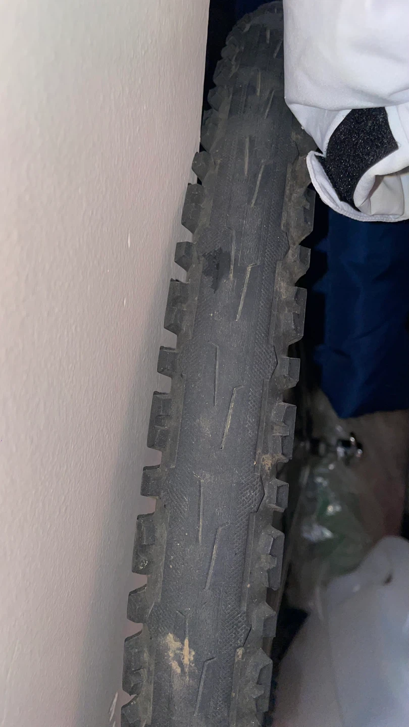 Bicycle Wheel - photo 2