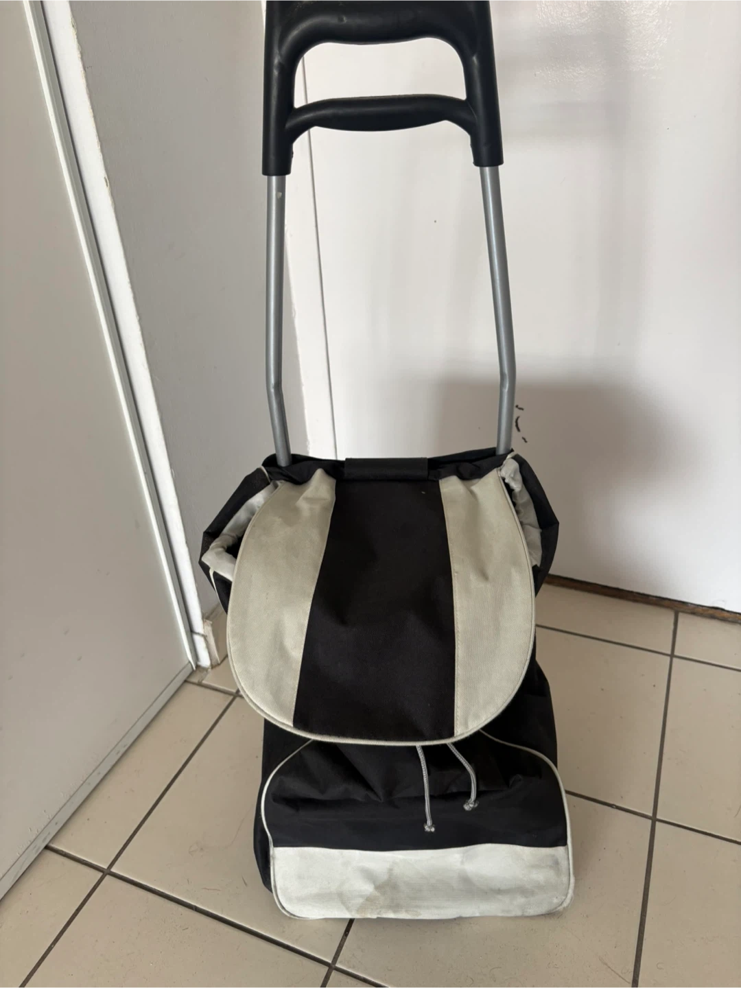 Rolling Shopping Cart Trolley Bag