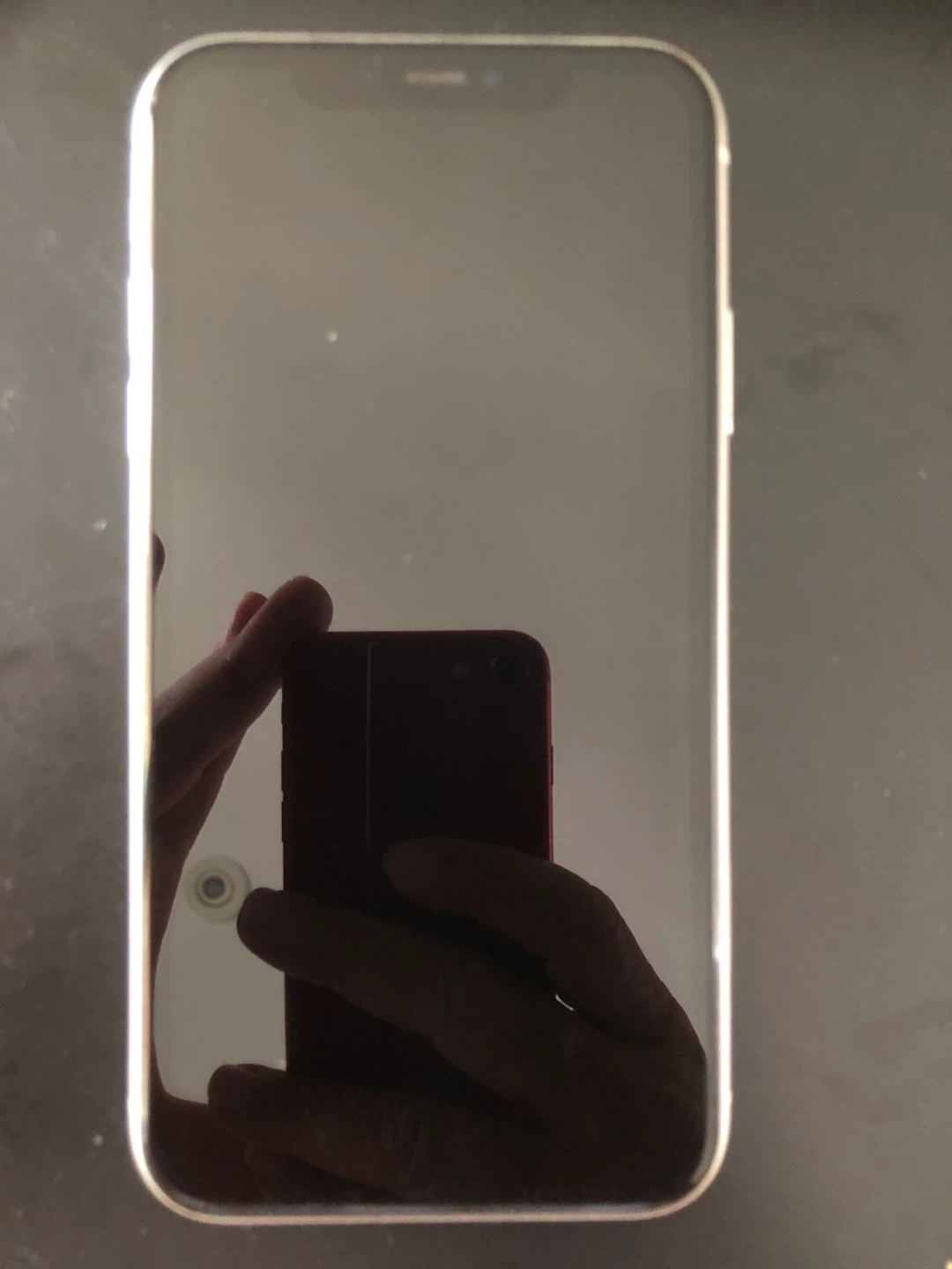 Apple iPhone 11 - photo 3