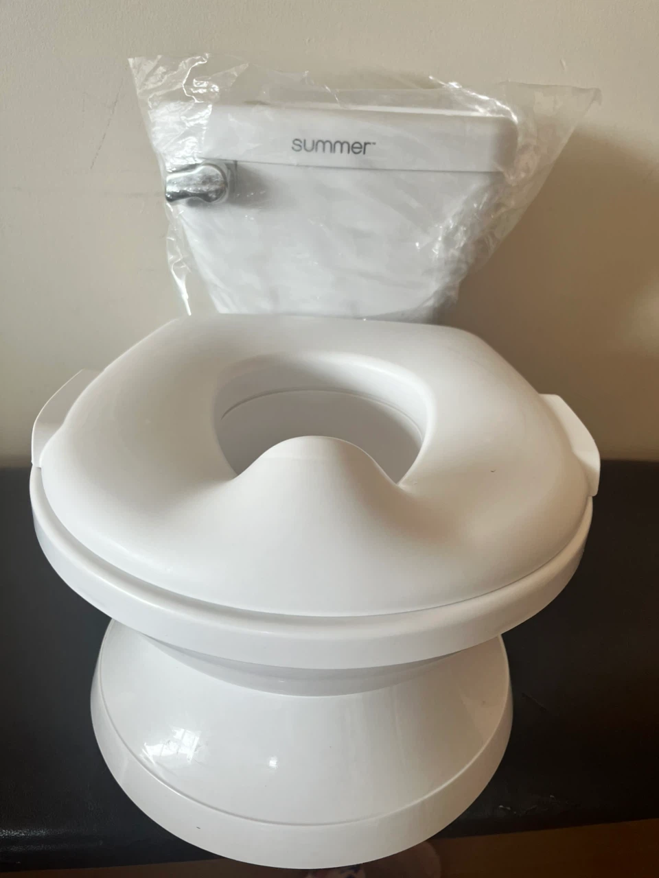 Summer My Size Potty Pro 2-in-1 System