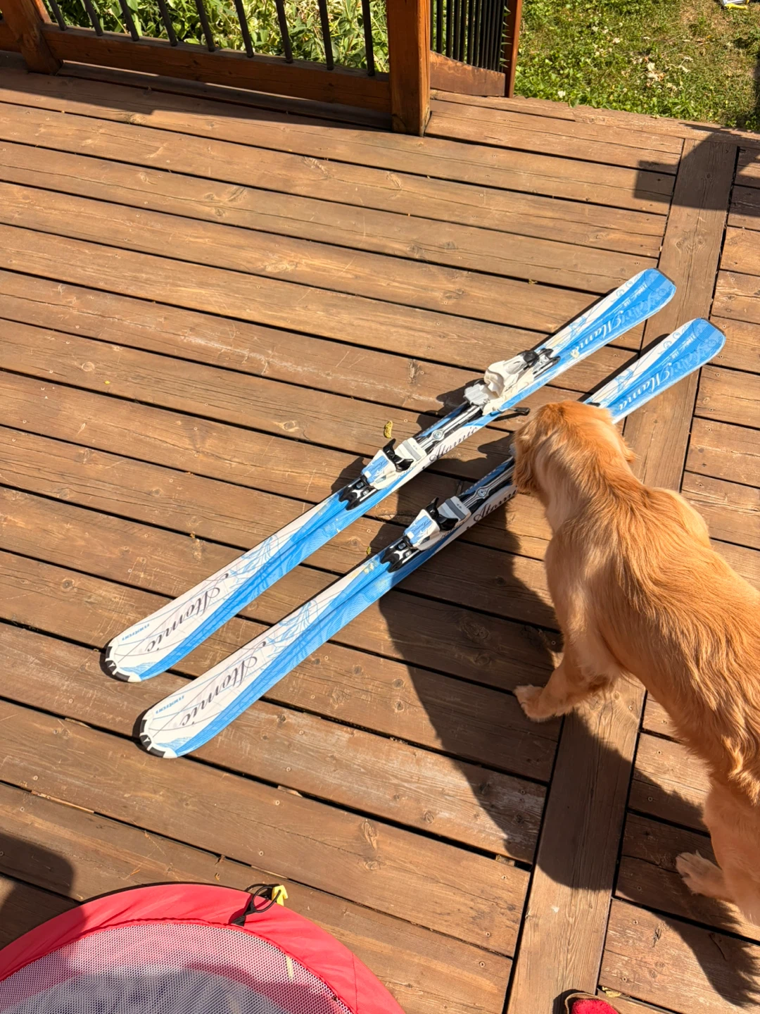Women’s Downhill Skis - photo 2