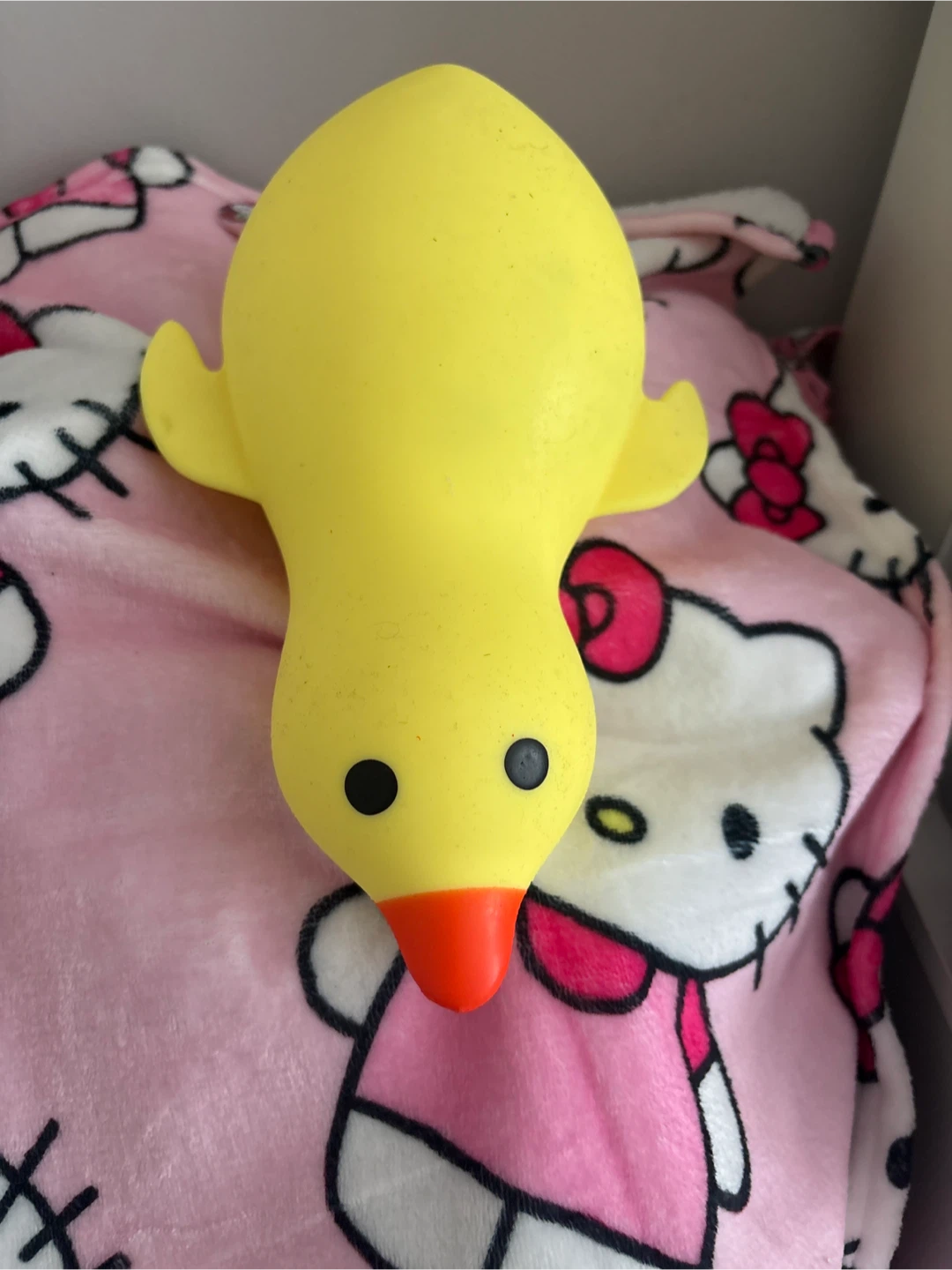 Viral duck squishy toy