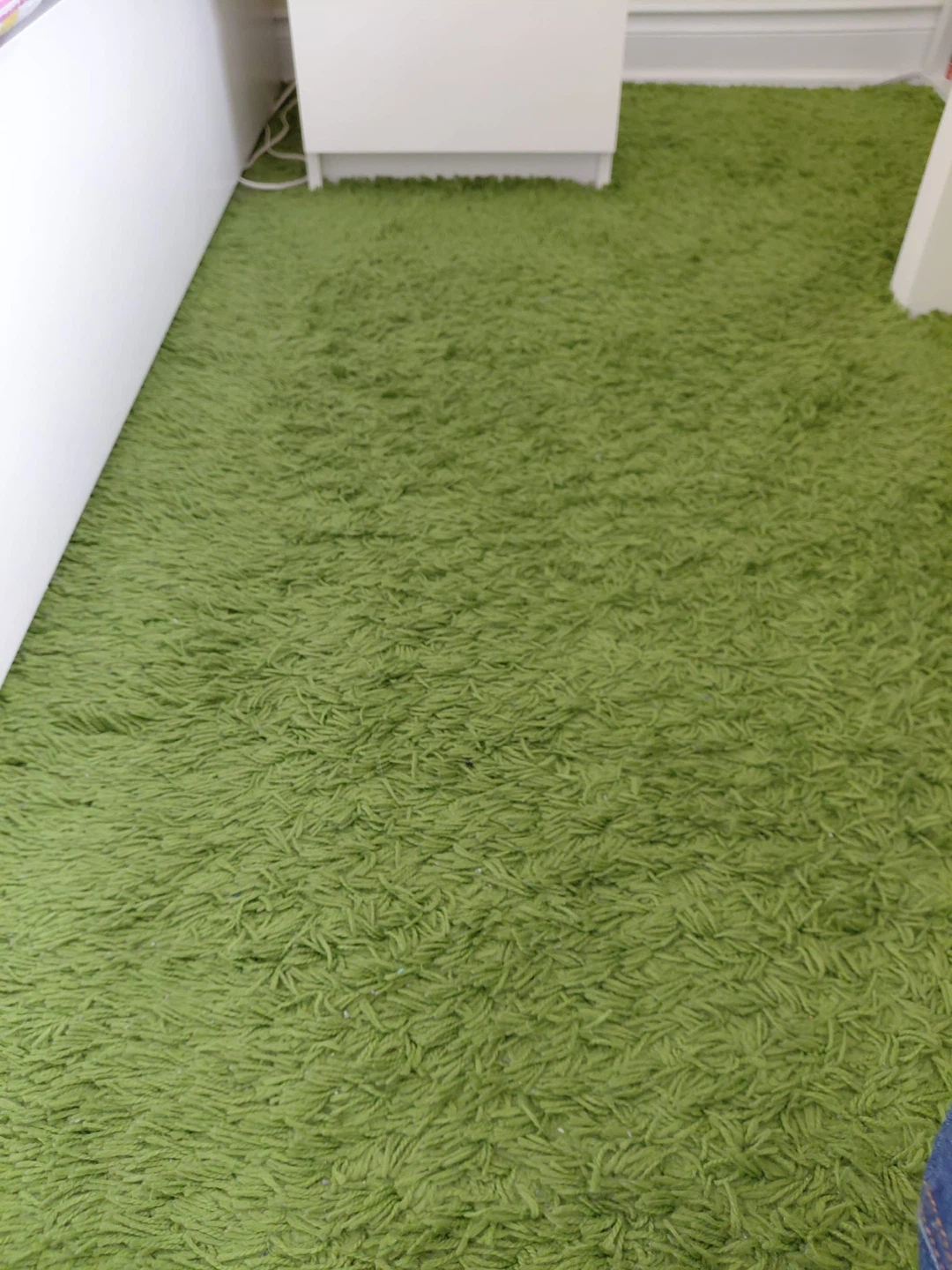 Green Shaggy Area Rug - photo 2