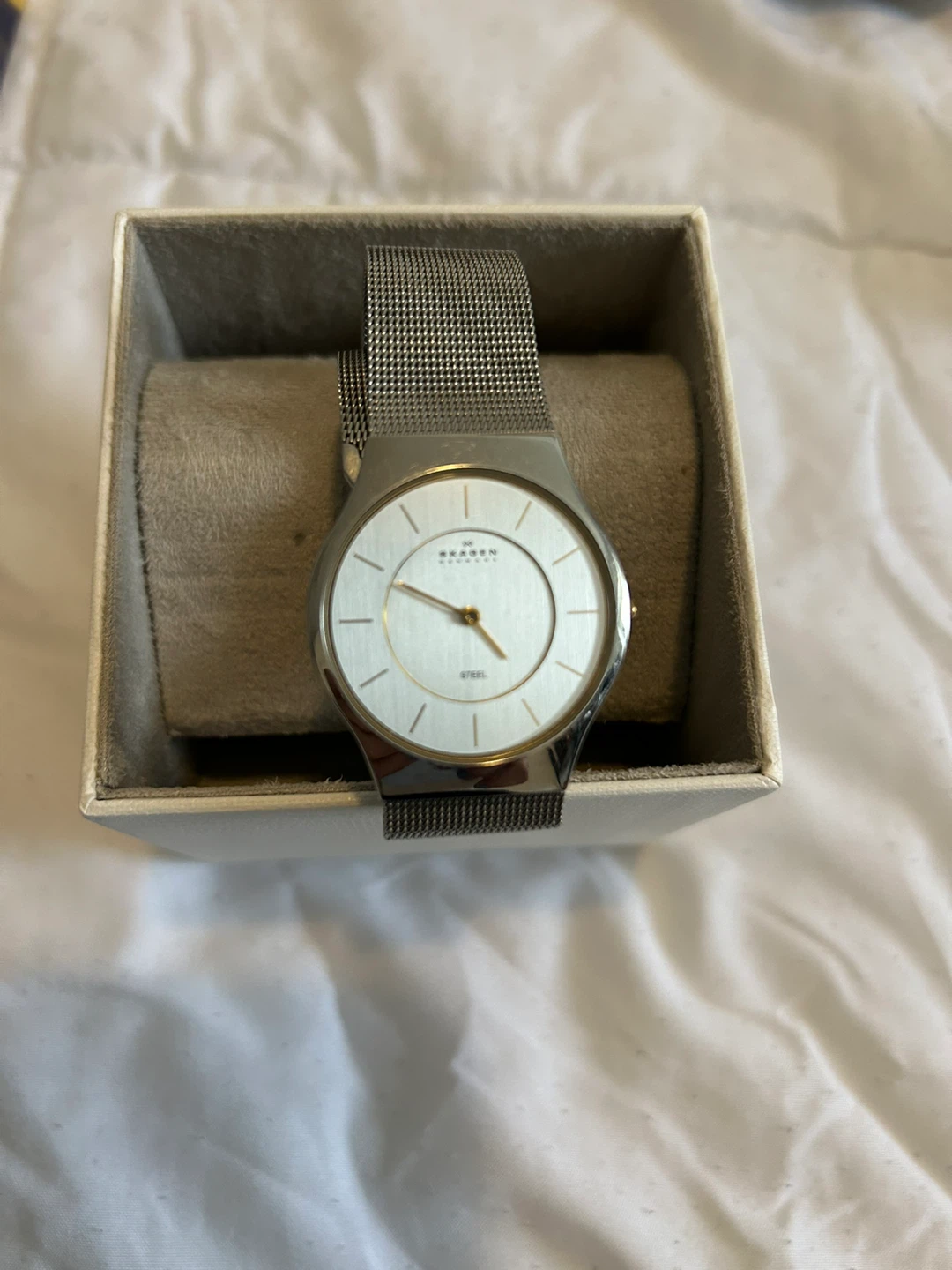 Skagen Denmark Steel Watch