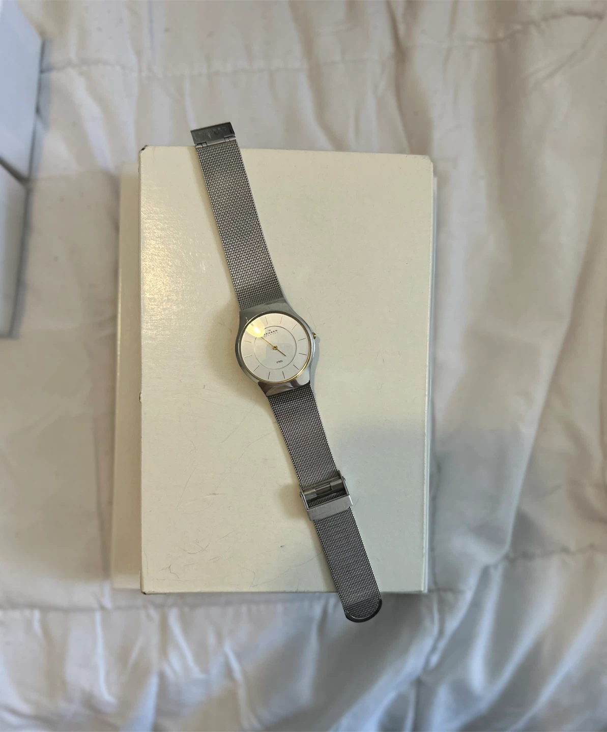 Skagen Denmark Steel Watch - photo 2