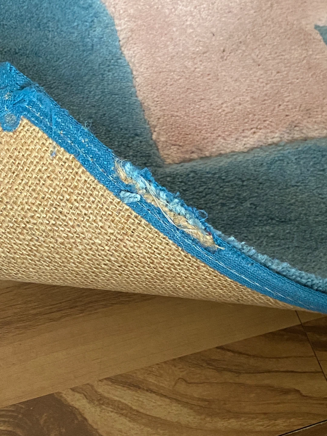 Teal and Pink Area Rug - photo 3