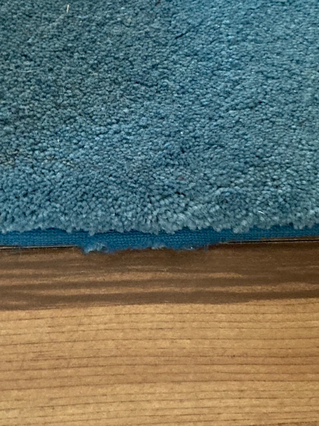 Teal and Pink Area Rug - photo 4