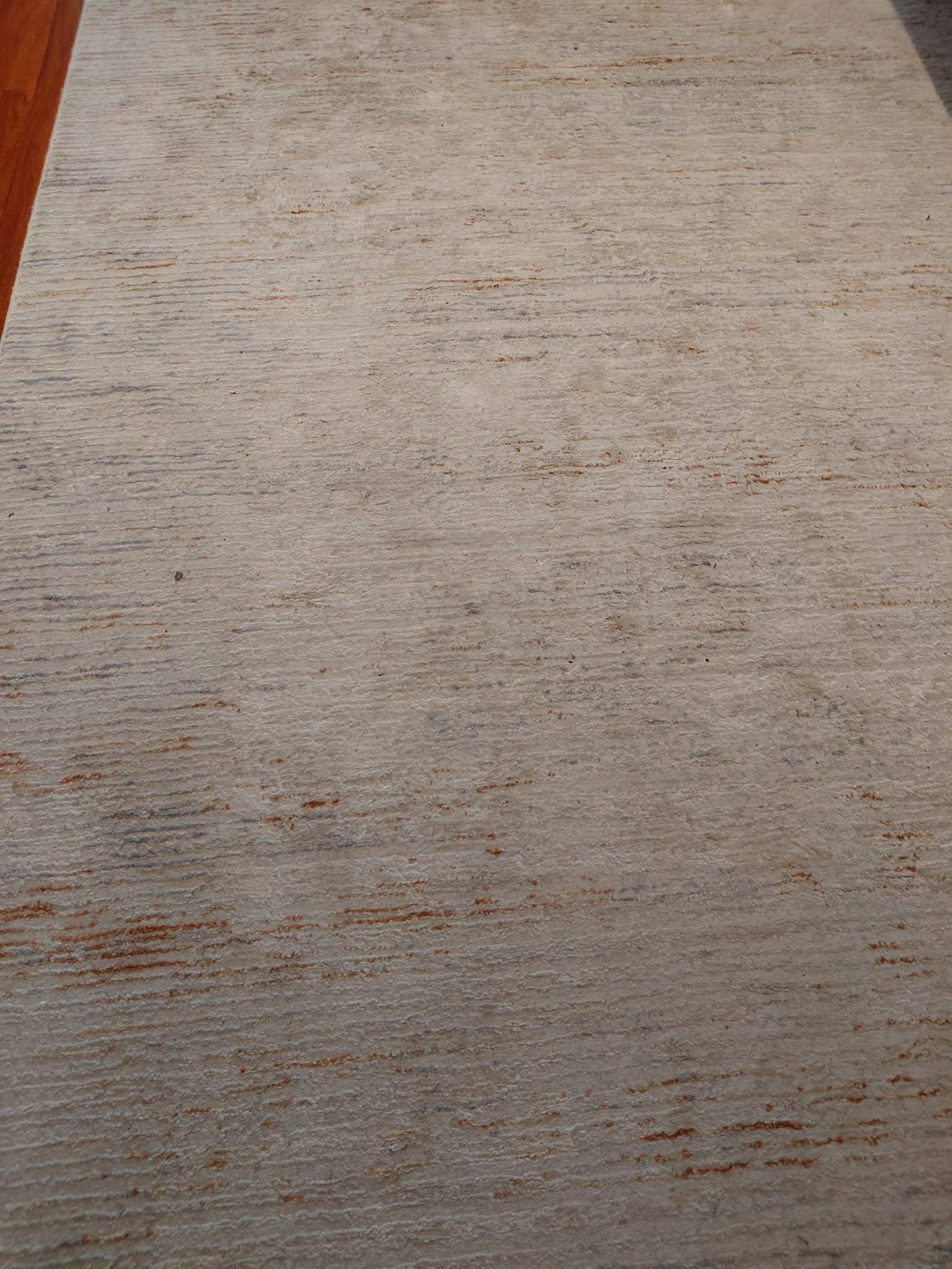 Beig and light grey Textured Area Rug