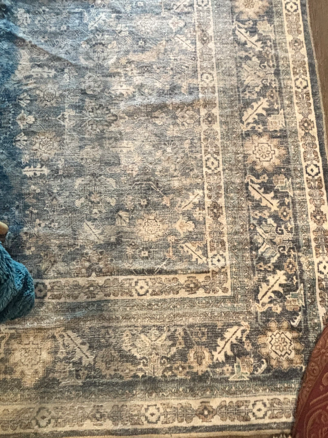 Blue Area Rug 6' x 9' - photo 4