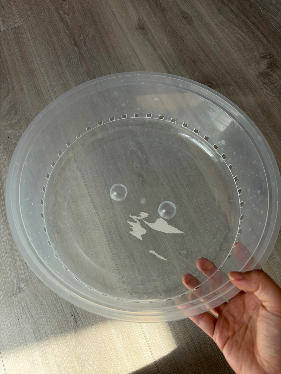 microwave cover for food