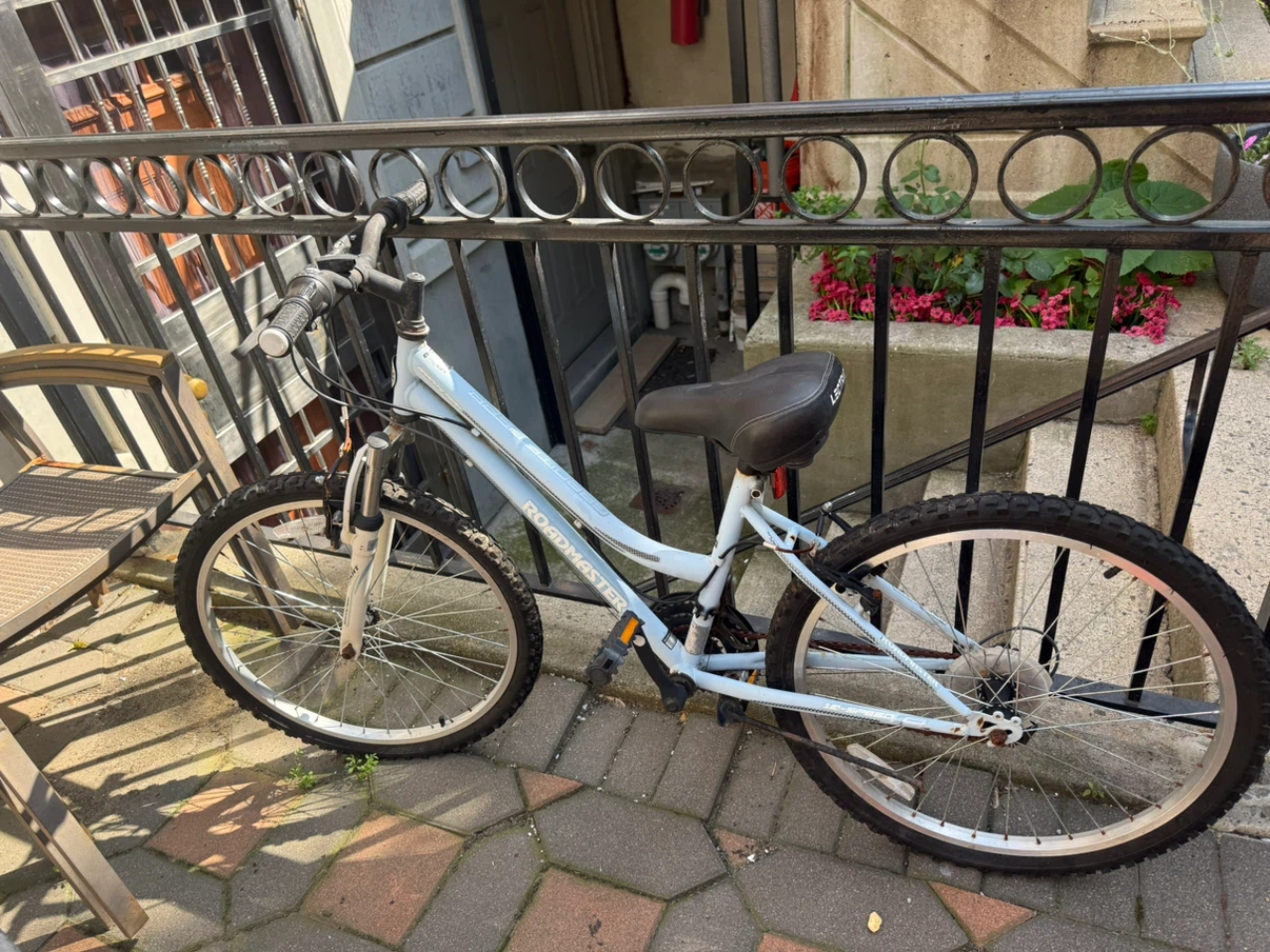 Roadmaster Mountain Bike
