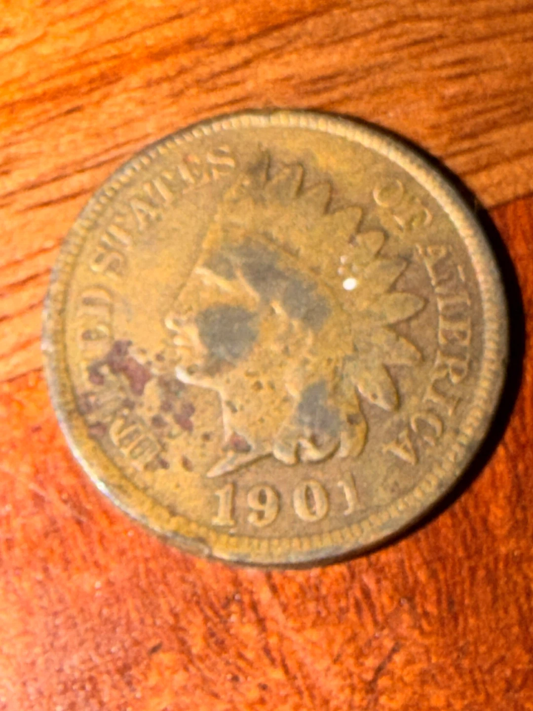 1901 Indian Head Cent Coin