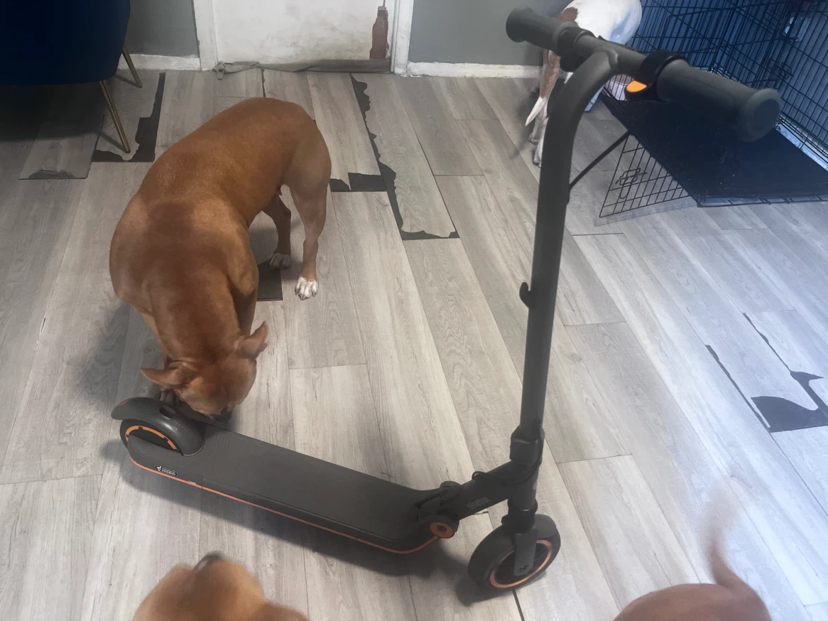 Ninebot Electric Scooter - photo 2