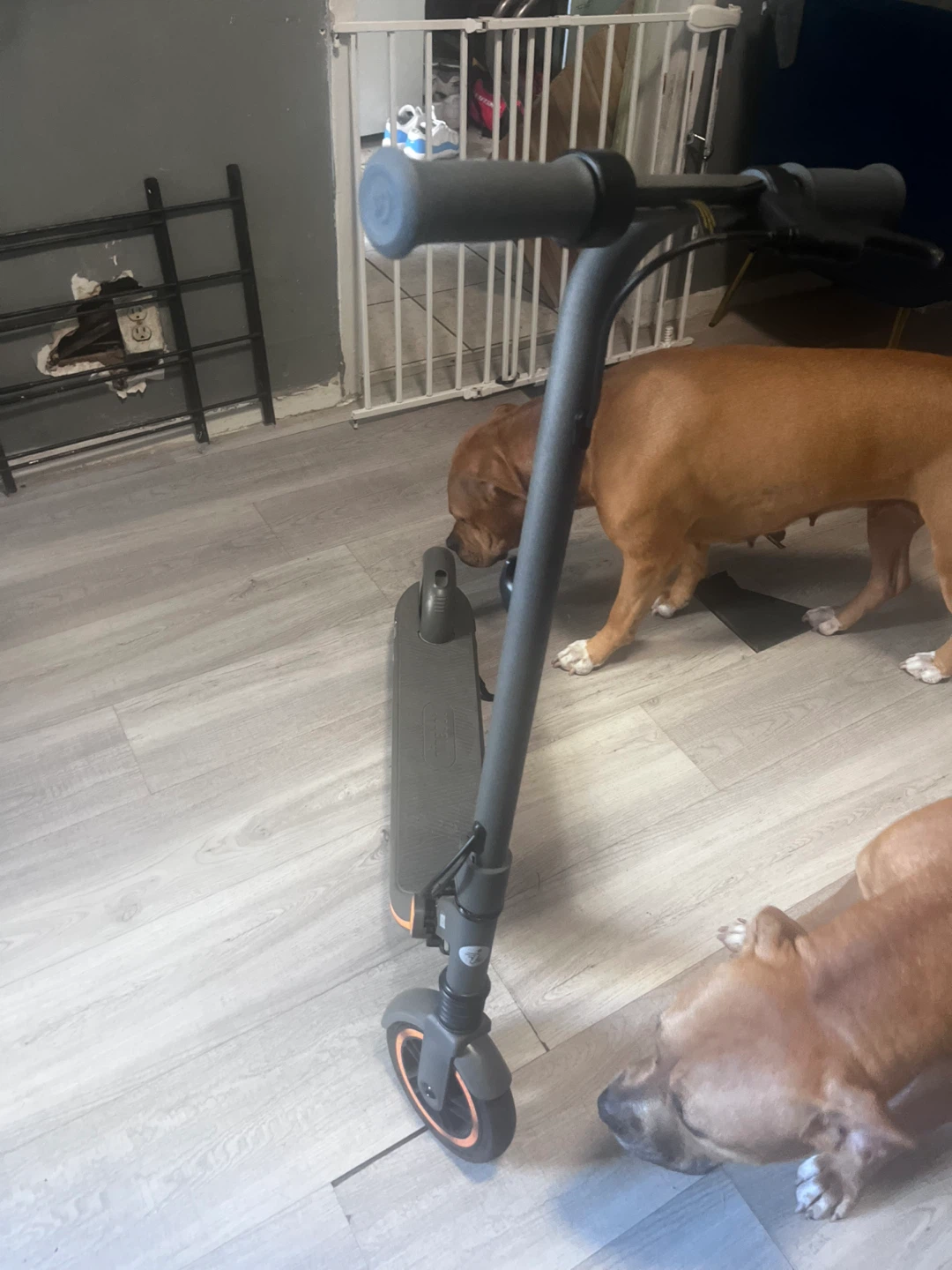 Ninebot Electric Scooter - photo 3