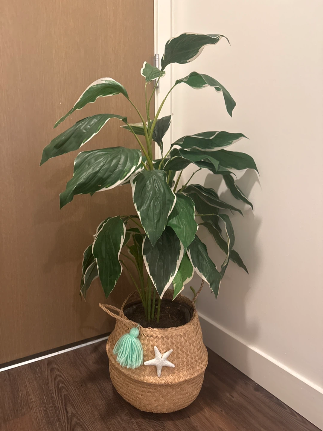 Fake Medium size plant & 🪴 Seagrass Woven Storage Basket