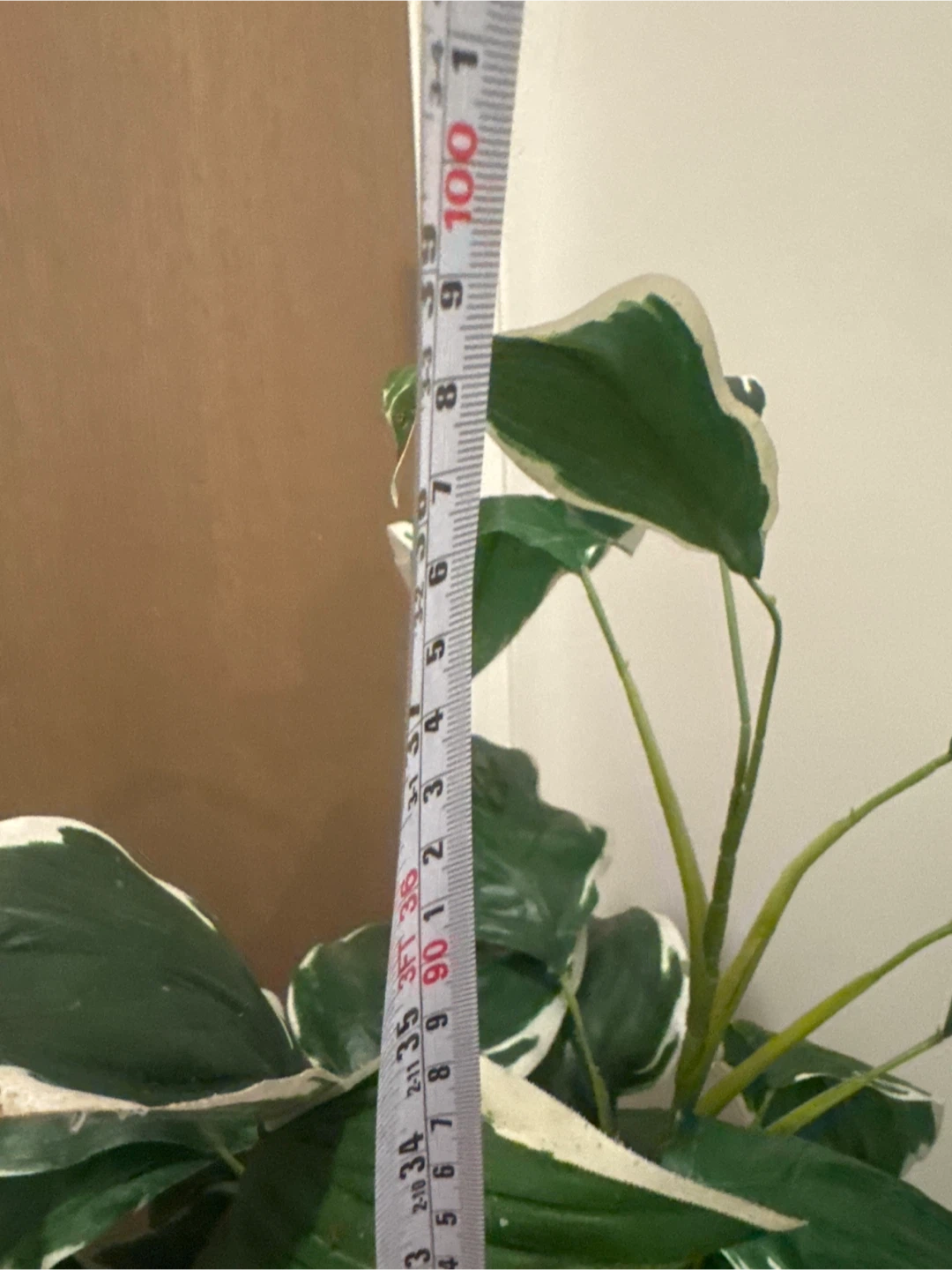 Fake Medium size plant & 🪴 Seagrass Woven Storage Basket - photo 4