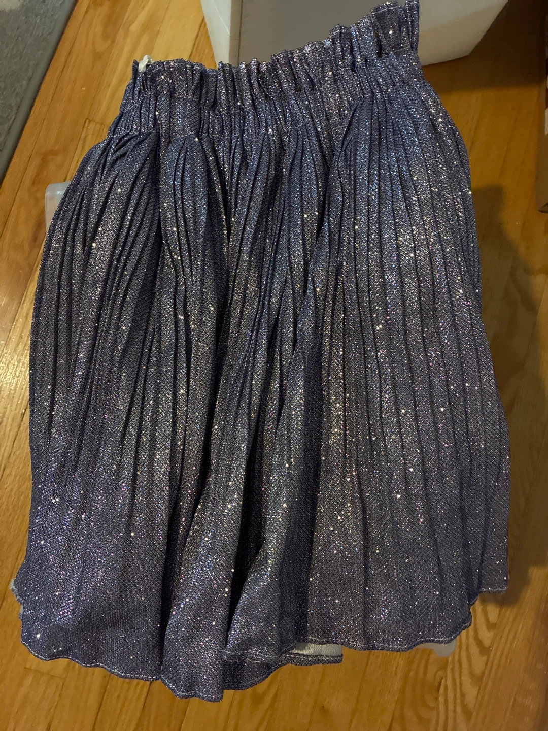 Sparkly Pleated Skirt
