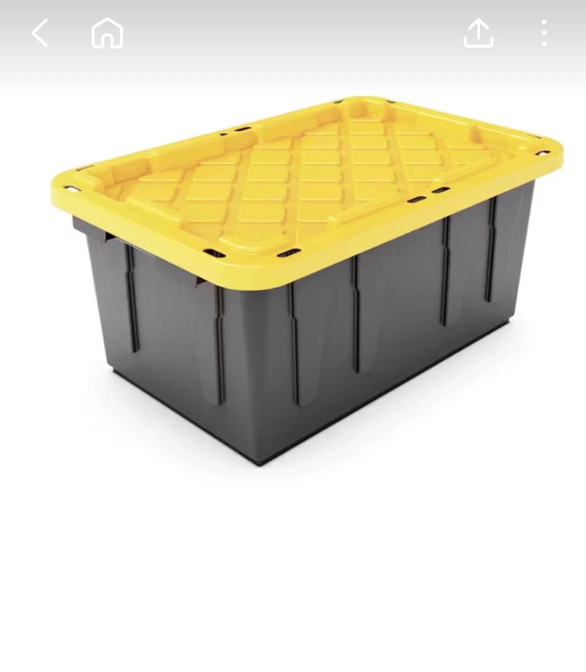 Large Storage Container with Lid
