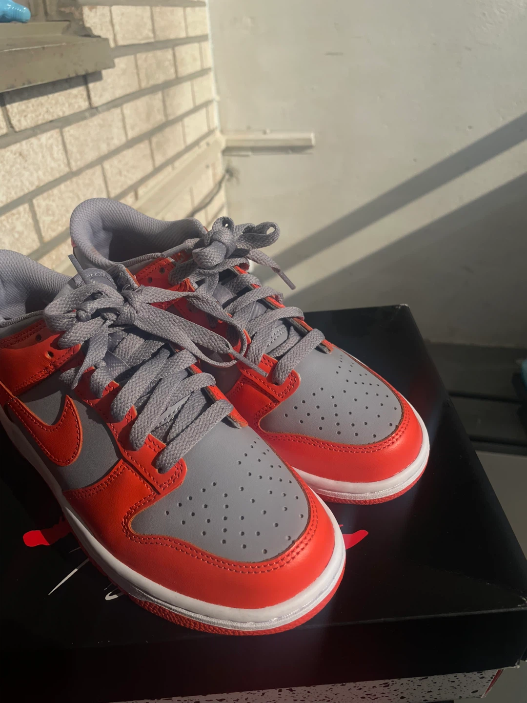 Nike Dunk Low sneakers