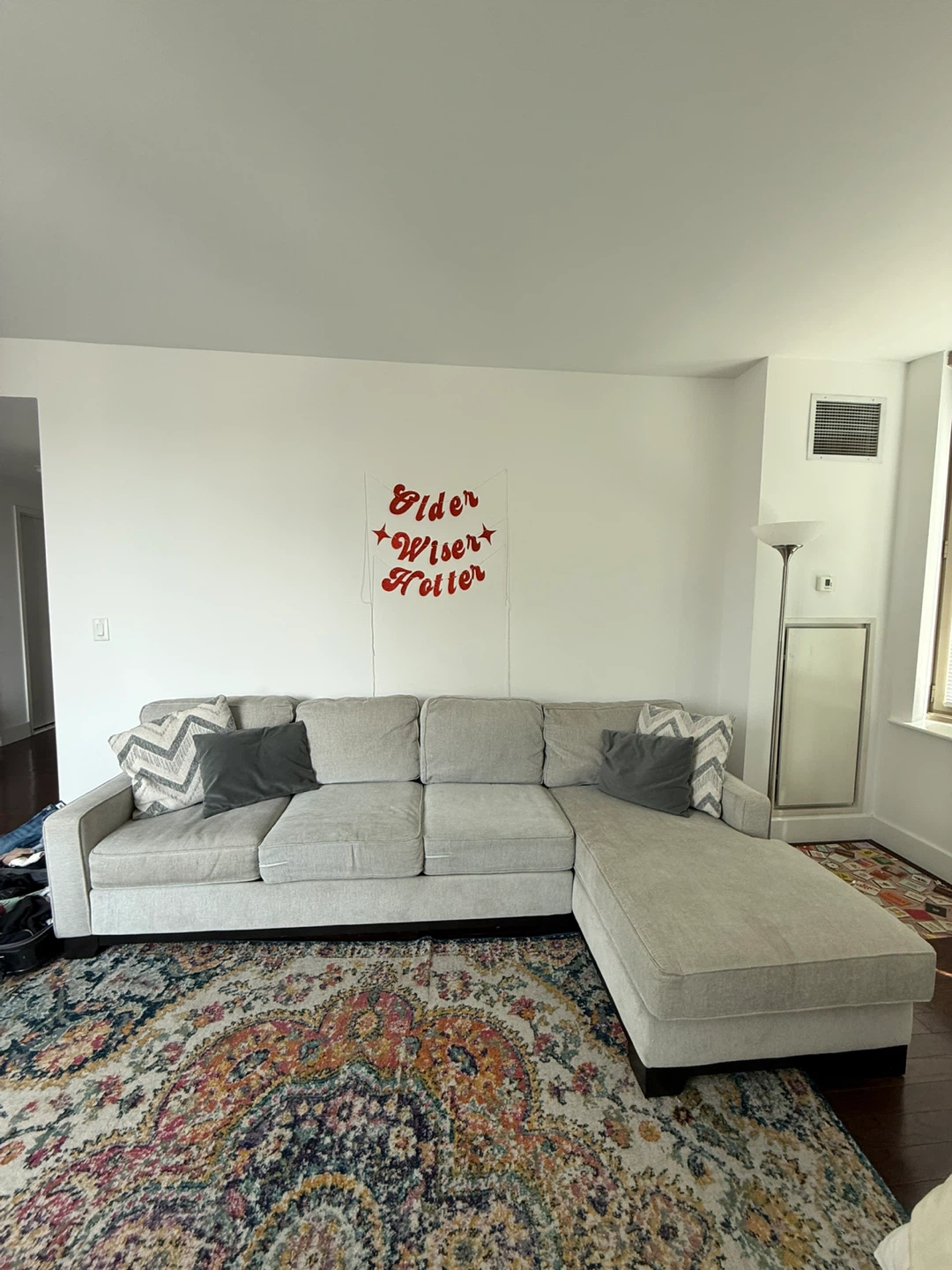 Light Gray Sectional Queen Sleeper Couch with Chaise