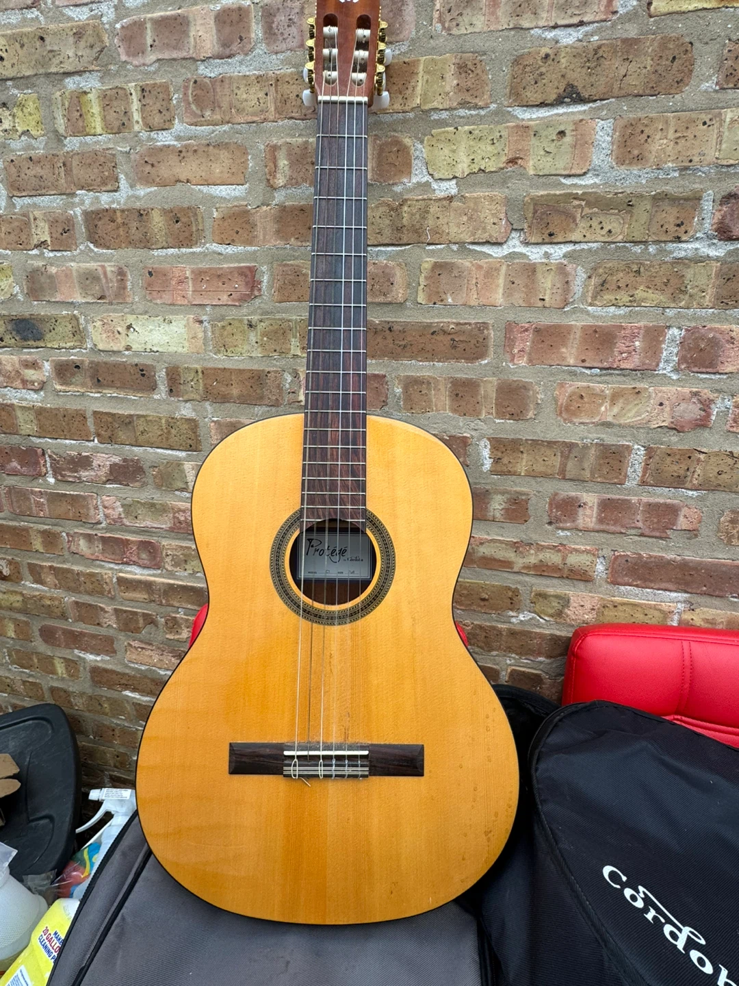 Cordoba Protege C1 Full Size Classical Guitar