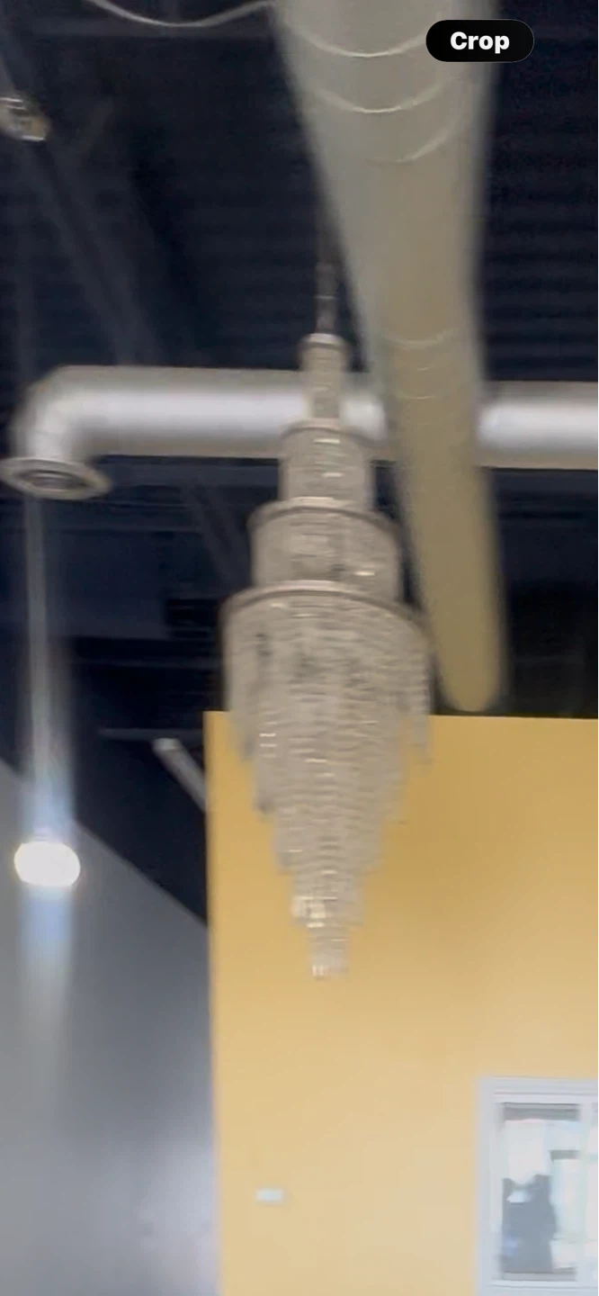 Crystal Chandelier Light Fixture - photo 2
