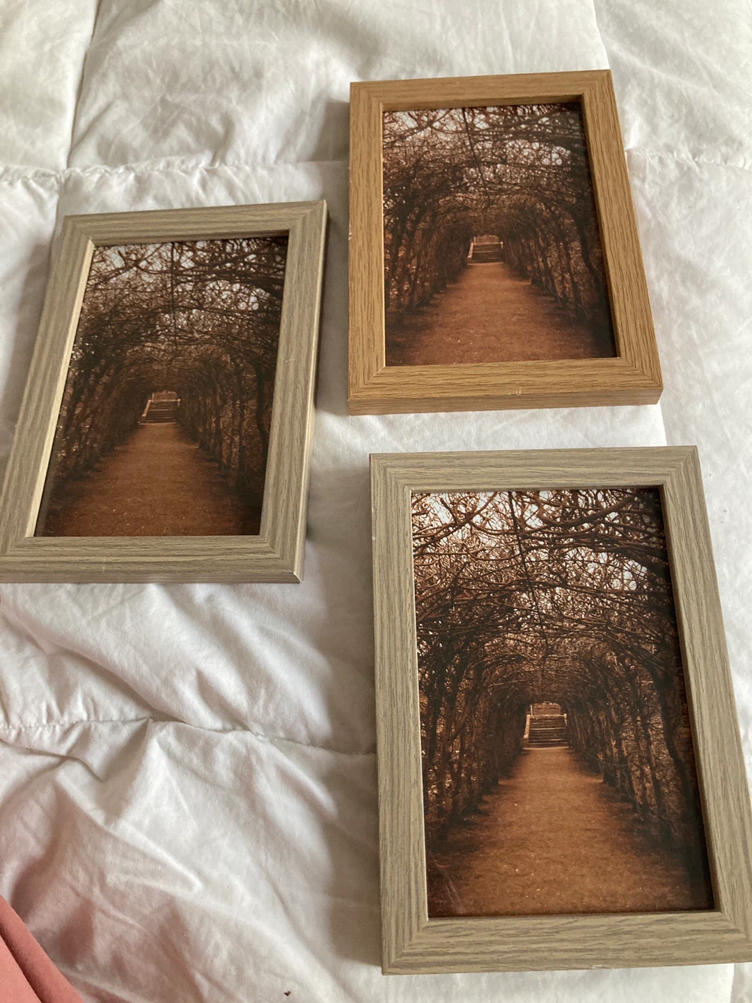 Set of 3 Picture Frames with Nature Scene