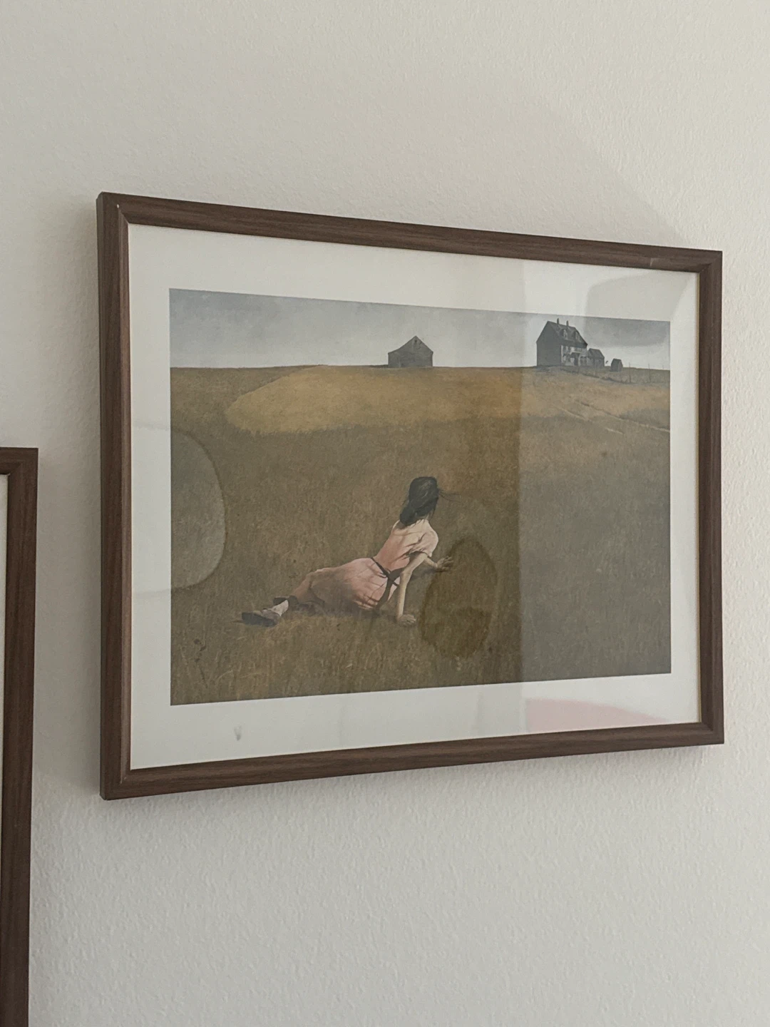 Framed Wall Art - Still Life Flowers - photo 5
